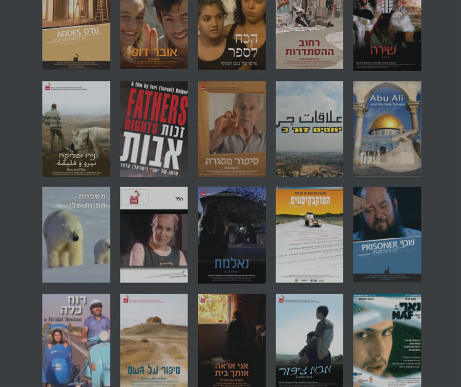 library dimona pilot 2