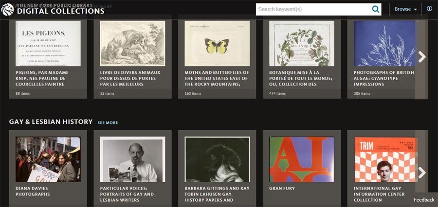 new york public library public domain 2